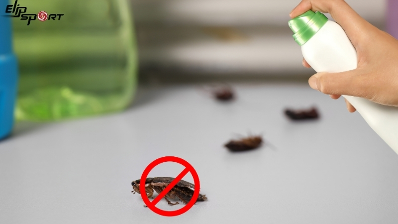 Bảo vệ m&aacute;y khỏi chuột bọ
