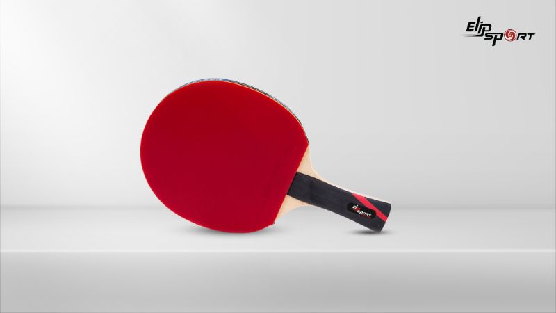 VỢT B&Oacute;NG B&Agrave;N ELIP PRO-6 STAR