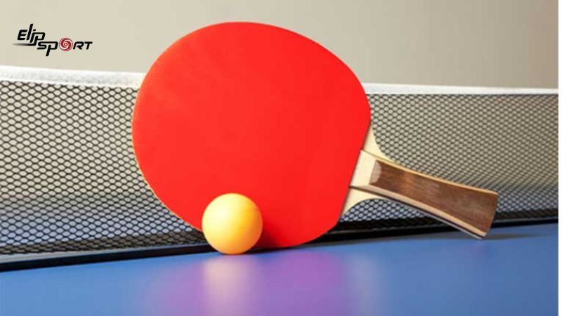 Mặt vợt m&uacute;t l&aacute;ng (Inverted Rubber)