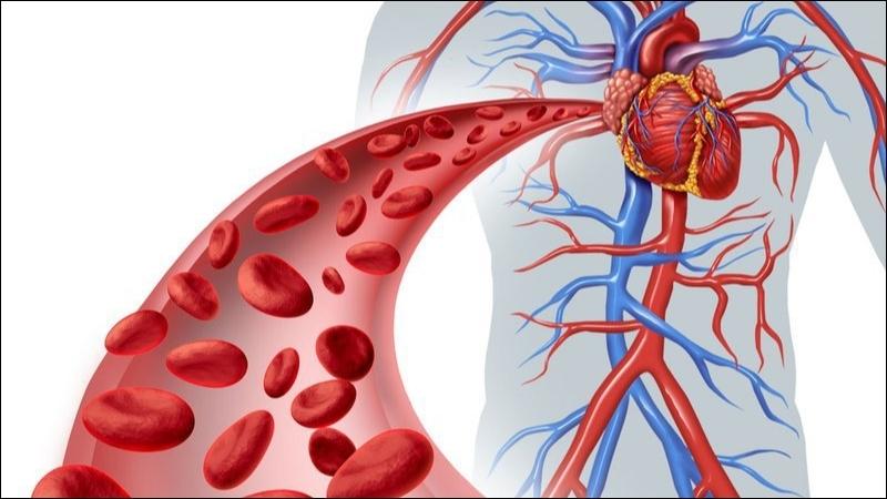 Jun888 com ưu đãi hấp dẫn không trọng lực giúp lượng oxy trong máu được tăng lên