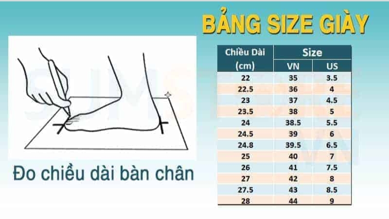 Để chắc chắn nhất bạn h&atilde;y đeo thử gi&agrave;y trước khi quyết định mua
