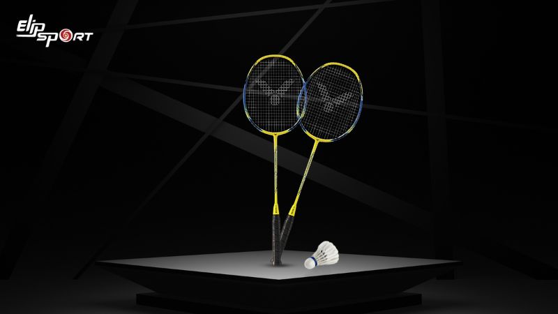 VỢT CẦU L&Ocirc;NG VICTOR TK-DF70