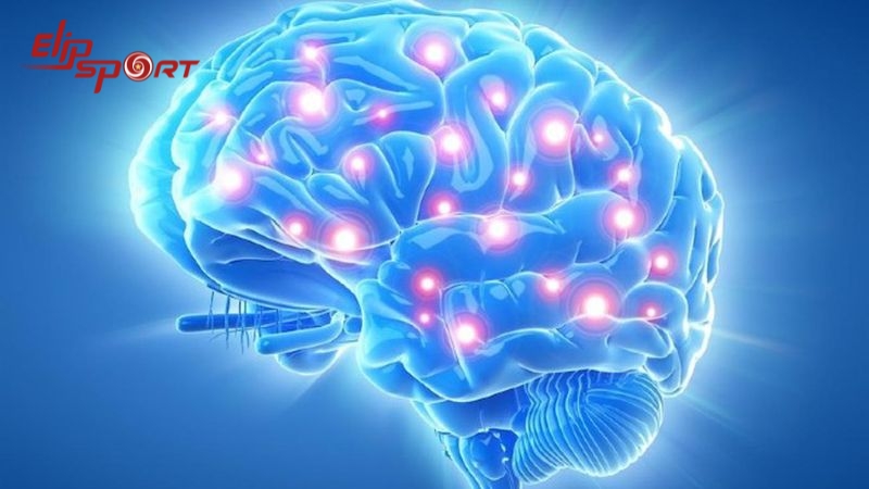 Tốt cho sức khỏe n&atilde;o bộ