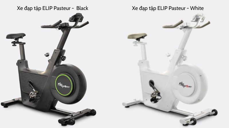 Xe đạp tập ELIP Pasteur gi&uacute;p bạntập thoải m&aacute;i nhiều cường độ kh&aacute;c nhau để tăng cường độ dẻo dai cho cơ thể