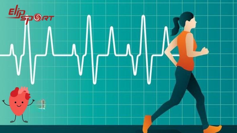 N&ecirc;n duy tr&igrave; nhịp tim 70 - 80% nhịp tim tối đa trong khi chạy để đạt hiệu suất tốt nhất