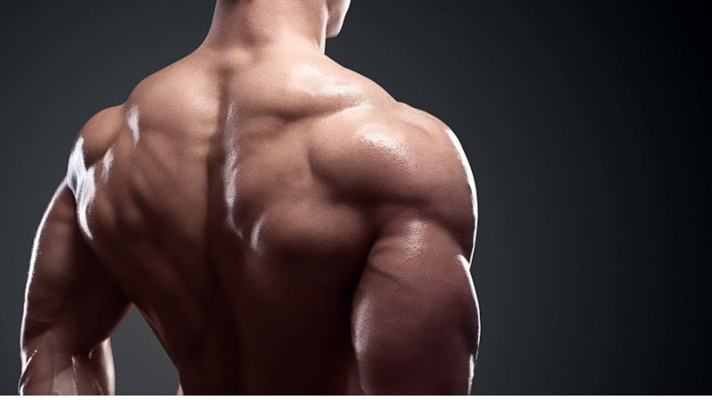 Kiến thức cần biết về cơ vai