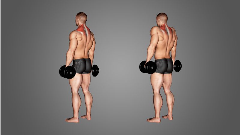Shrugs l&agrave; b&agrave;i tập lưng x&ocirc; với tạ đơn kh&aacute; mới mẻ