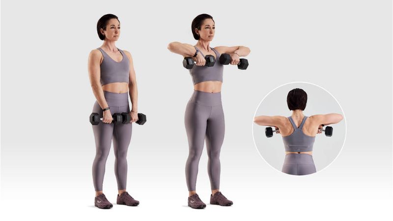 K&eacute;o tạ thẳng trước ngực Dumbbell upright row