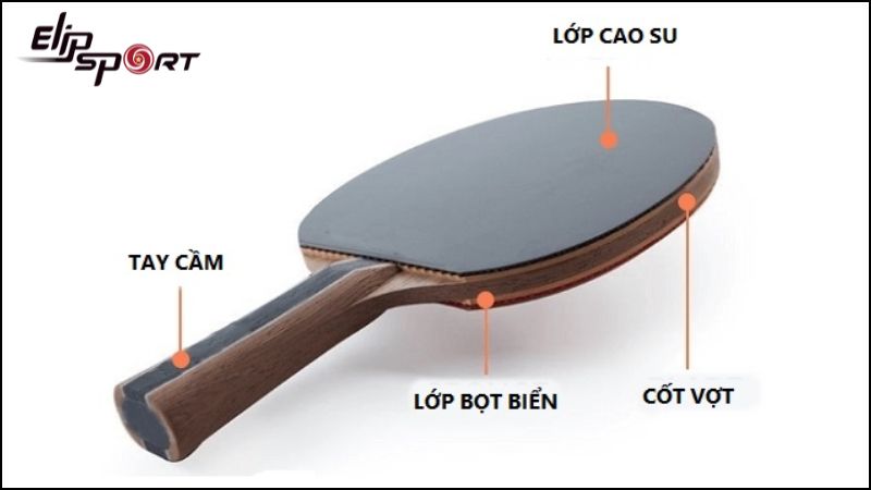 Cấu tạo của một chiếc vợt b&oacute;ng b&agrave;n gồm hai phần ch&iacute;nh, bao gồm cốt vợt v&agrave; lớp cao su
