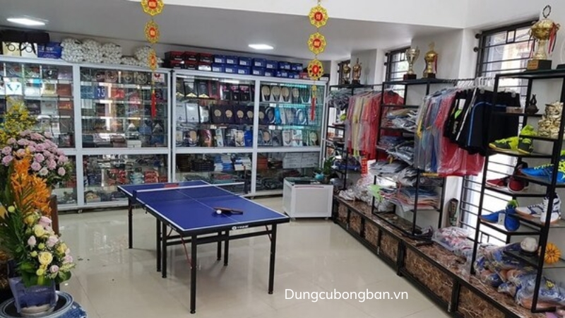 DungCuBongBan.VN l&agrave; địa chỉ cung cấp vợt b&oacute;ng b&agrave;n của c&aacute;c thương hiệu nổi tiếng thế giới