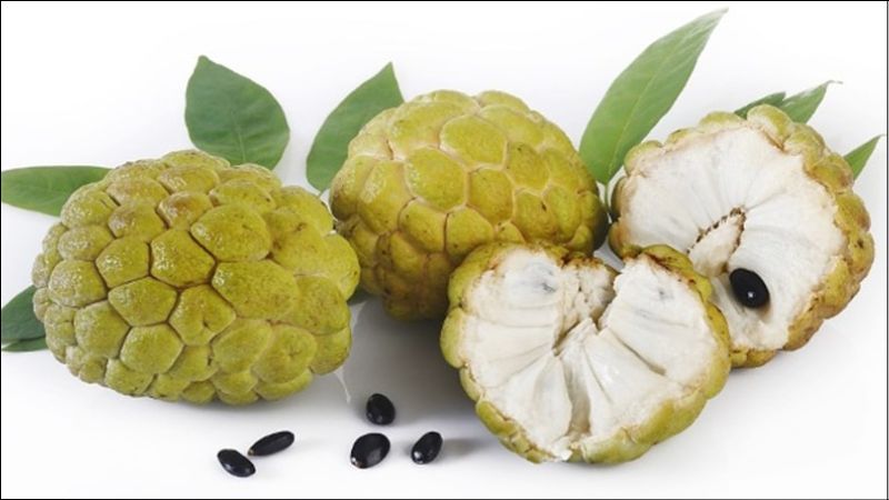 100g quả na chứa 93,9 calo