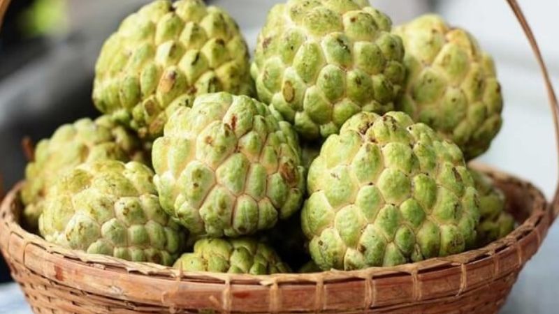 Quả na chứa rất nhiều vitamin v&agrave; c&aacute;c dưỡng chất c&oacute; lợi cho sức khỏe