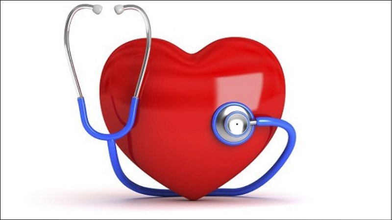 Quả na ch&iacute;n chứa magie v&agrave; kali gi&uacute;p hỗ trợ hệ thống tim mạch