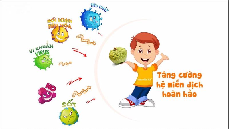 Quả na gi&uacute;p tăng cường đề kh&aacute;ng v&igrave; n&oacute; chứa nhiều vitamin C