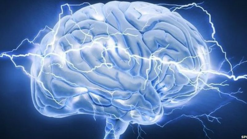 Quả na chứa vitamin B6 gi&uacute;p cải thiện n&atilde;o bộ