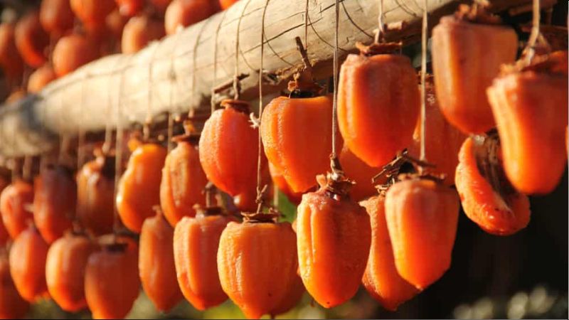Hồng treo gi&oacute; rất gi&agrave;u chất xơ, gi&uacute;p cơ thể đốt ch&aacute;y mỡ thừa