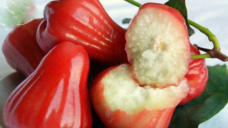 N&ecirc;n ăn khoảng 4 - 5 quả roi sau bữa ăn để đạt hiệu quả giảm c&acirc;n tốt