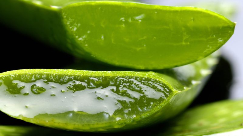 Nha đam c&oacute; t&aacute;c động t&iacute;ch cực trong việc giảm c&acirc;n
