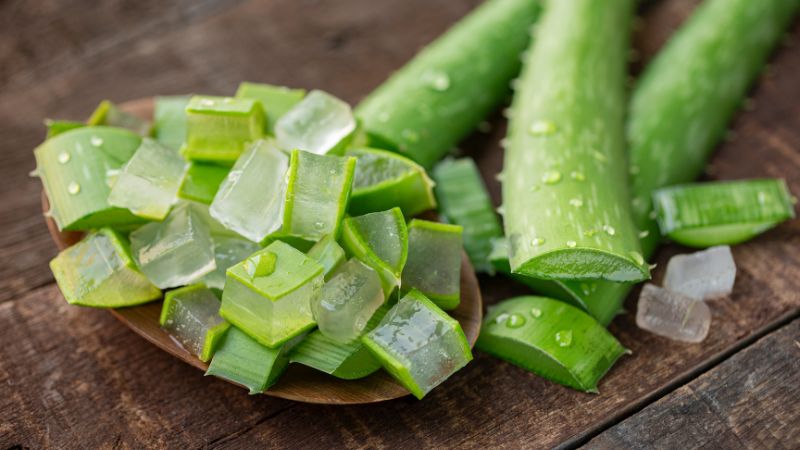 Nha đam ho&agrave;n to&agrave;n c&oacute; thể ăn sống được