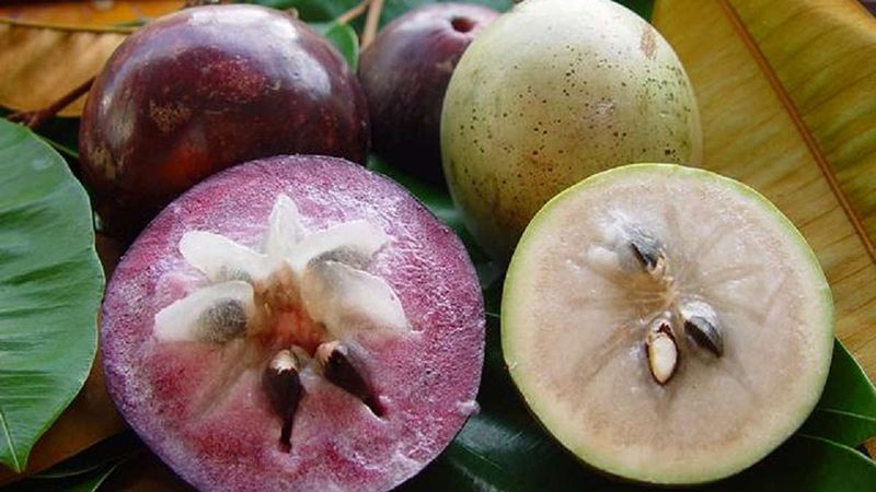 V&uacute; sữa c&oacute; nhiều c&ocirc;ng dụng tốt cho sức khỏe