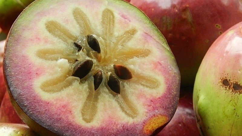 Ăn v&uacute; sữa với liều lượng ph&ugrave; hợp th&igrave; kh&ocirc;ng g&acirc;y tăng c&acirc;n