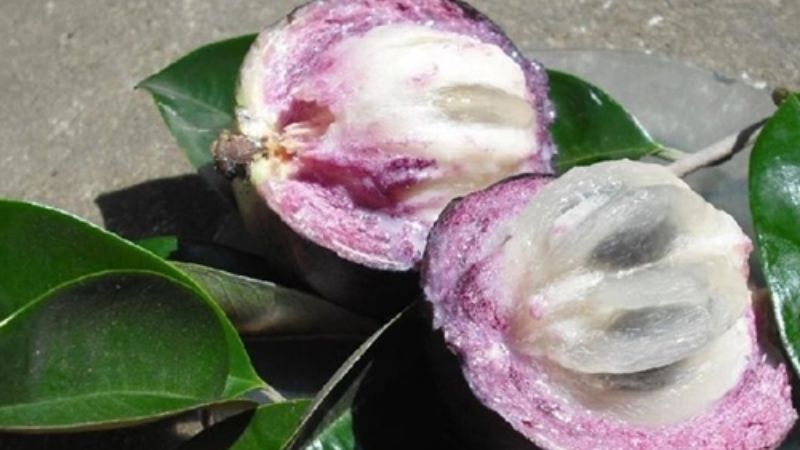 Lưu &yacute; kh&ocirc;ng n&ecirc;n sử dụng qu&aacute; nhiều v&uacute; sữa