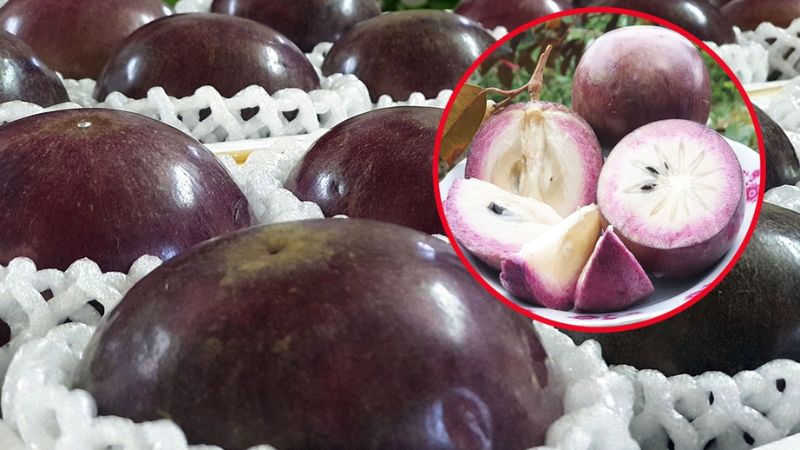 N&ecirc;n chọn quả c&oacute; vỏ mỏng v&agrave; mềm