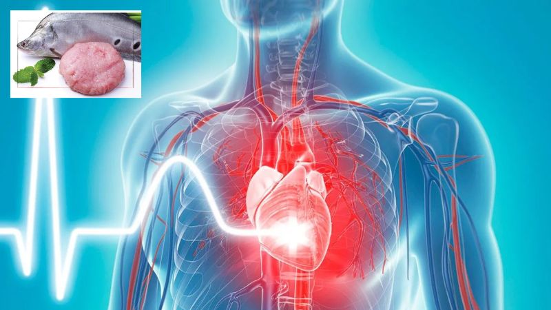 Chả c&aacute; th&aacute;c l&aacute;c hỗ trợ sức khỏe tim mạch do chứa omega 3 v&agrave; &iacute;t chất b&eacute;o b&atilde;o h&ograve;a