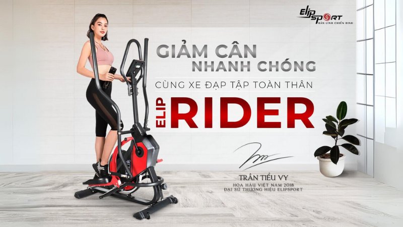 Cấu tạo của xe đạp tập thể dục