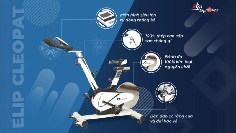 Máy tập toàn thân ELIP Cleopat