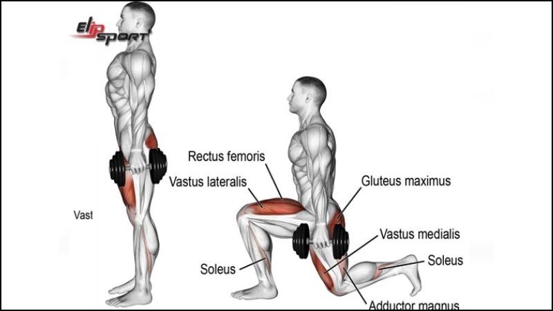 B&agrave;i tập Lunges with Dumbbell