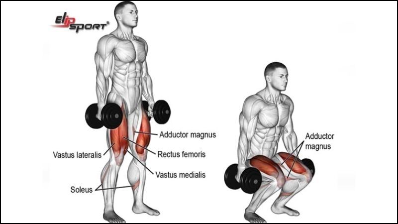 B&agrave;i tập Lunges with Dumbbell