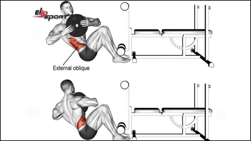 B&agrave;i tập Sitting Twist
