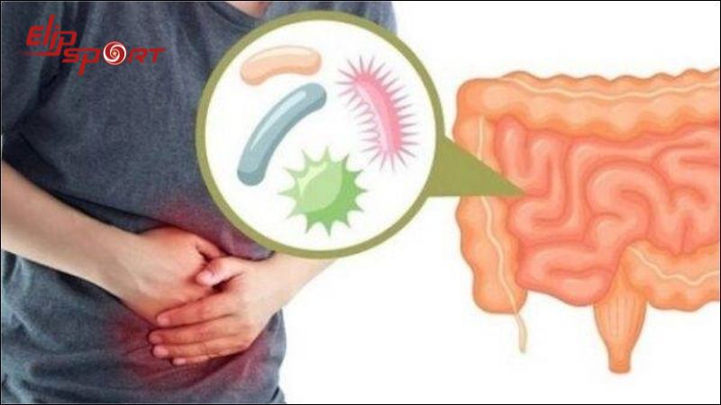 Việc kiểm so&aacute;t lượng dầu mỡ trong chế độ ăn h&agrave;ng ng&agrave;y l&agrave; quan trọng đối với lợi khuẩn đường ruột