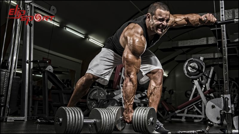 Tập gym đau cơ thường do 1 trong hai nguy&ecirc;n nh&acirc;n