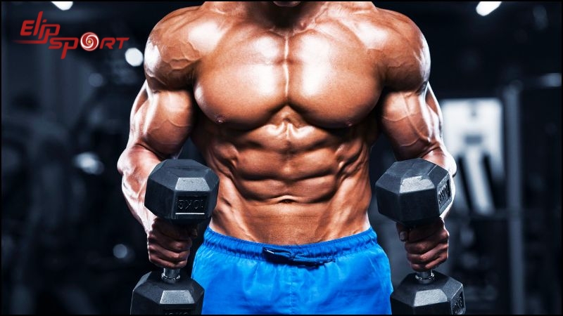 Cơn đau cơ c&oacute; thể l&agrave; hiện tượng tạm thời sau buổi tập