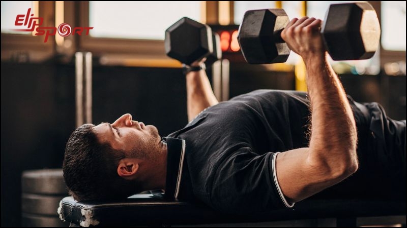 Khởi động trước khi tập gym sẽ tr&aacute;nh được nguy cơ đau cơ