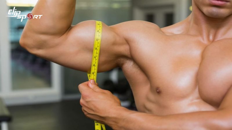 Protein l&agrave; một trong những nguồn nguy&ecirc;n liệu ch&iacute;nh để x&acirc;y dựng v&agrave; ph&aacute;t triển cơ