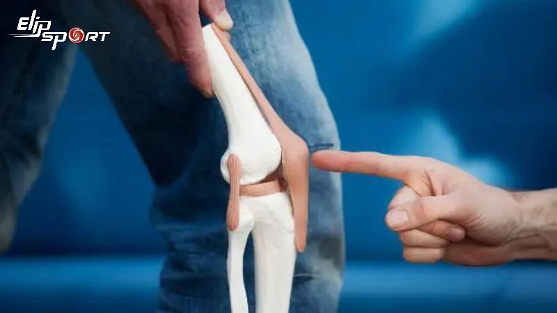 Protein sẽ kết hợp c&ugrave;ng với canxi l&agrave;m tăng mật độ xương v&agrave; ph&ograve;ng chống lo&atilde;ng xương