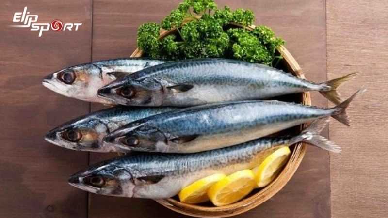Kết hợp c&aacute; thu với chế độ ăn uống c&acirc;n bằng gi&uacute;p giảm c&acirc;n