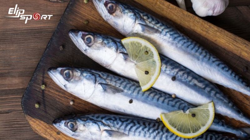 C&aacute; thu thường chứa axit b&eacute;o omega-3, một loại chất b&eacute;o c&oacute; lợi cho sức khỏe