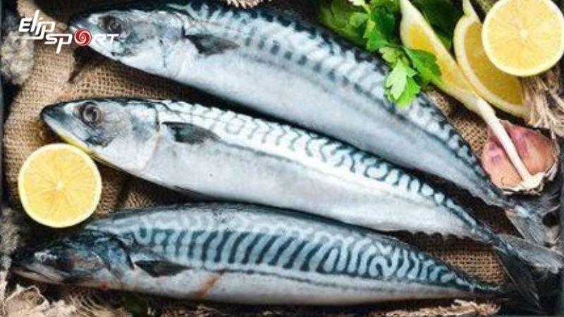 C&aacute; thu cung cấp một số th&agrave;nh phần dinh dưỡng quan trọng như vitamin B1, B2, B6
