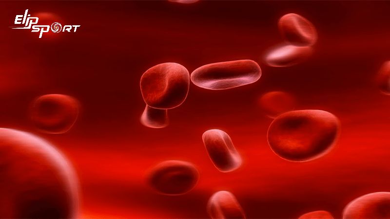 Ở nho kh&ocirc; c&oacute; một lượng lớn sắt v&agrave; vitamin B-Complex