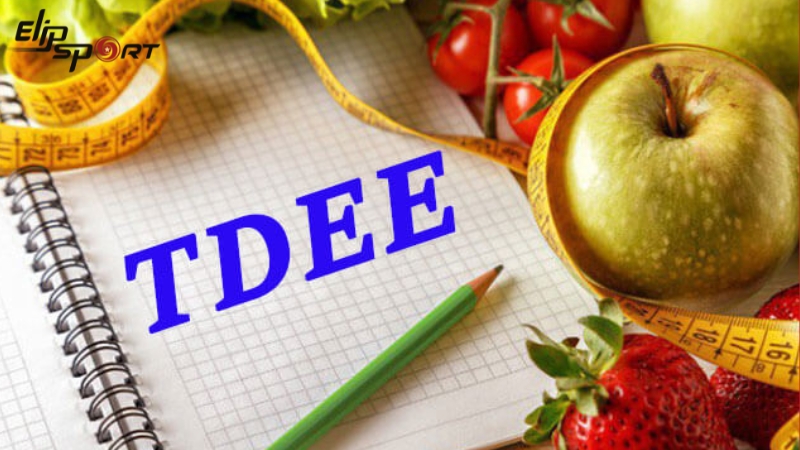 TDEE l&agrave; chỉ số calories tr&ecirc;n tổng mức năng lượng m&agrave; cơ thể bạn ti&ecirc;u hao trong một ng&agrave;y