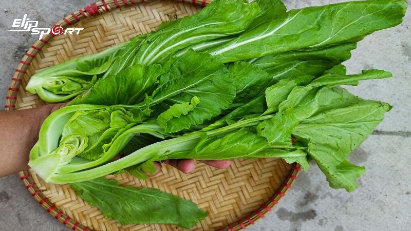 cai-be-xanh-bao-nhieu-calo-an-cai-be-xanh-co-tac-dung-gi1
