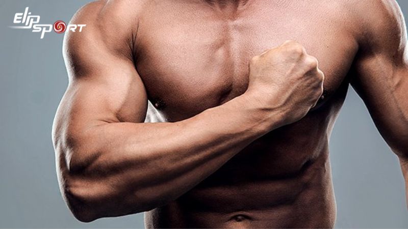 Nạp năng lượng cho cơ thể sau khi chạy để phục hồi v&agrave; x&acirc;y dựng cơ bắp