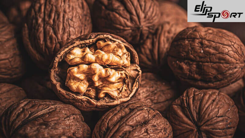 100g hạt &oacute;c ch&oacute; bao nhi&ecirc;u calo