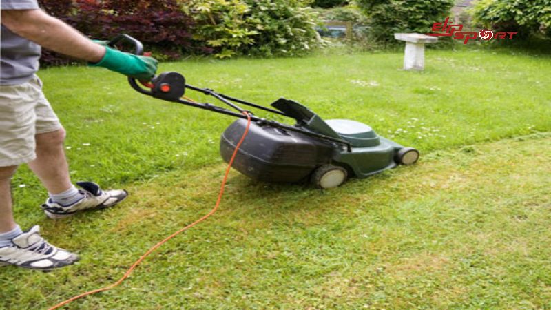 Hoạt động cắt cỏ sẽ l&agrave;m ti&ecirc;u tốn khoảng 135 calo