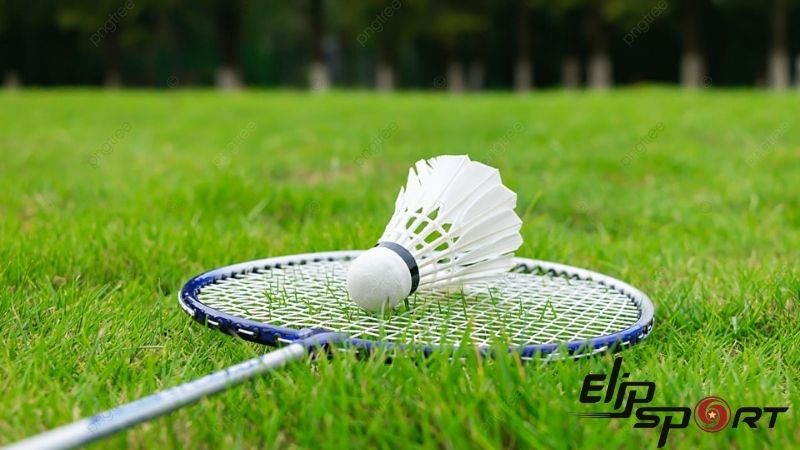 C&oacute; nhiều c&aacute;ch để lựa chọn c&acirc;y vợt cầu l&ocirc;ng ph&ugrave; hợp cho người mới chơi