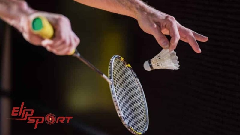 việc lựa chọn dựa tr&ecirc;n sự linh hoạt của c&acirc;y vợt l&agrave; rất quan trọng